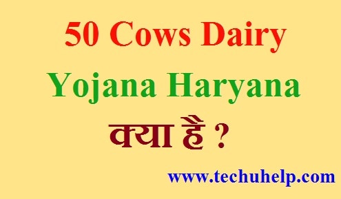 50 Cows Dairy Yojana Haryana क्या है