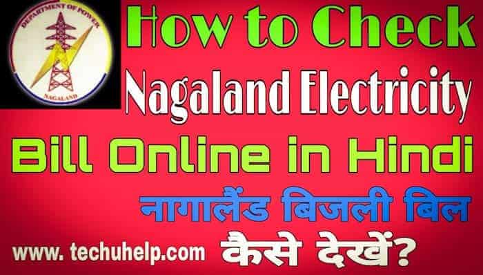 How to Check Nagaland Bijli Bill in Hindi