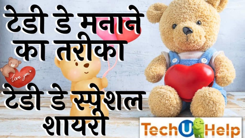 टेडी डे मनाने का तरीका | Teddy Day Shayari in Hindi 2024