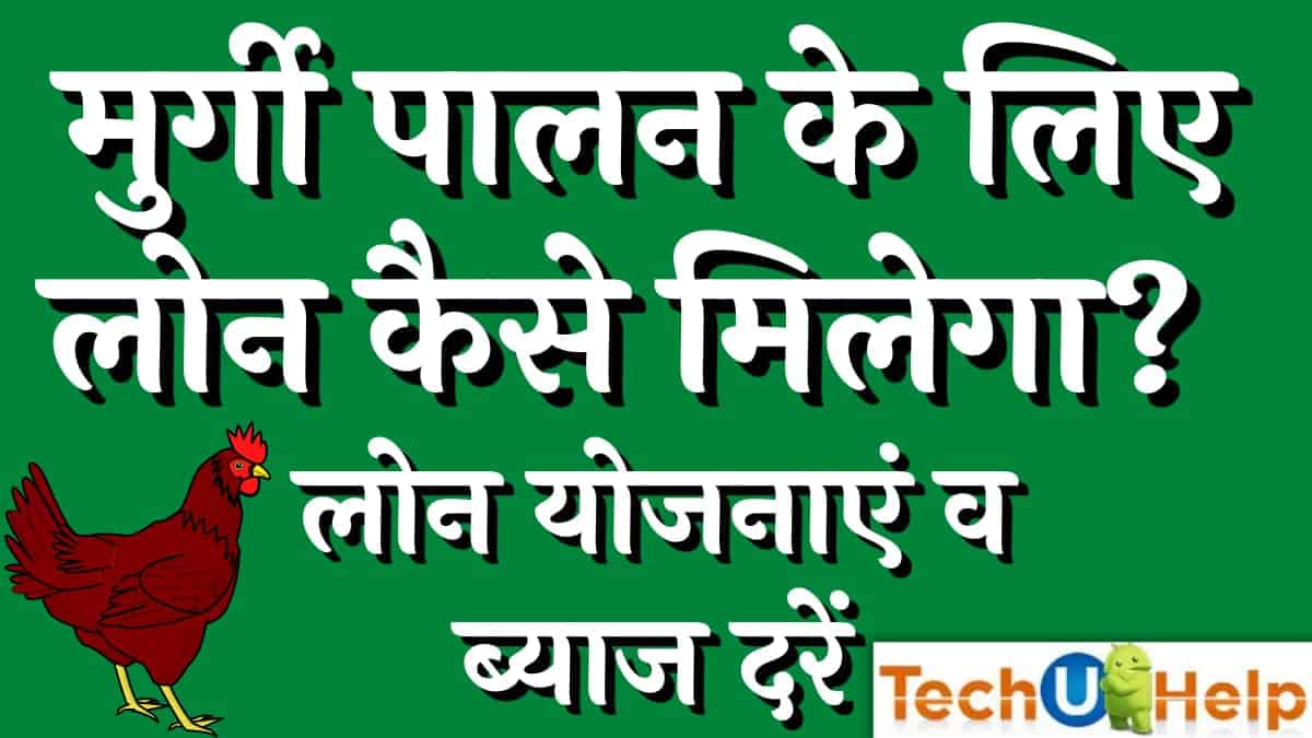 पोल्ट्री फार्म लोन-2022: मुर्गी पालन के लिए लोन कैसे मिलेगा? लोन योजनाएं व ब्याज दरें