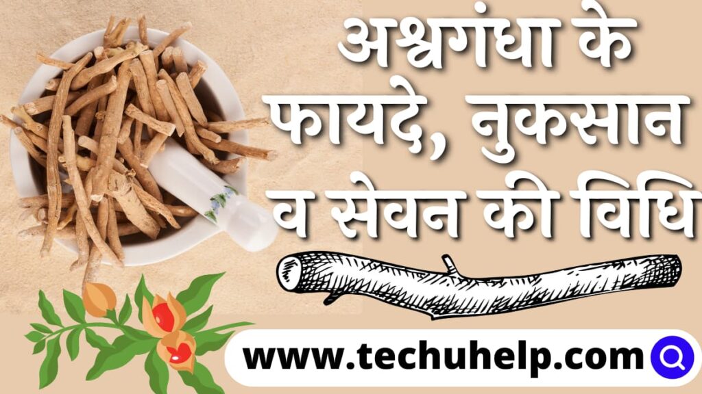 अश्वगंधा के फायदे, नुकसान व सेवन की विधि | Ashwagandha Benefits In Hindi