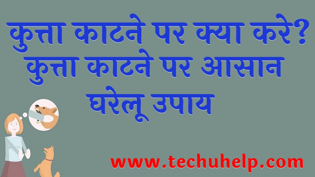 कुत्ता काटने पर क्या करे कुत्ता काटने पर आसान घरेलू उपाय