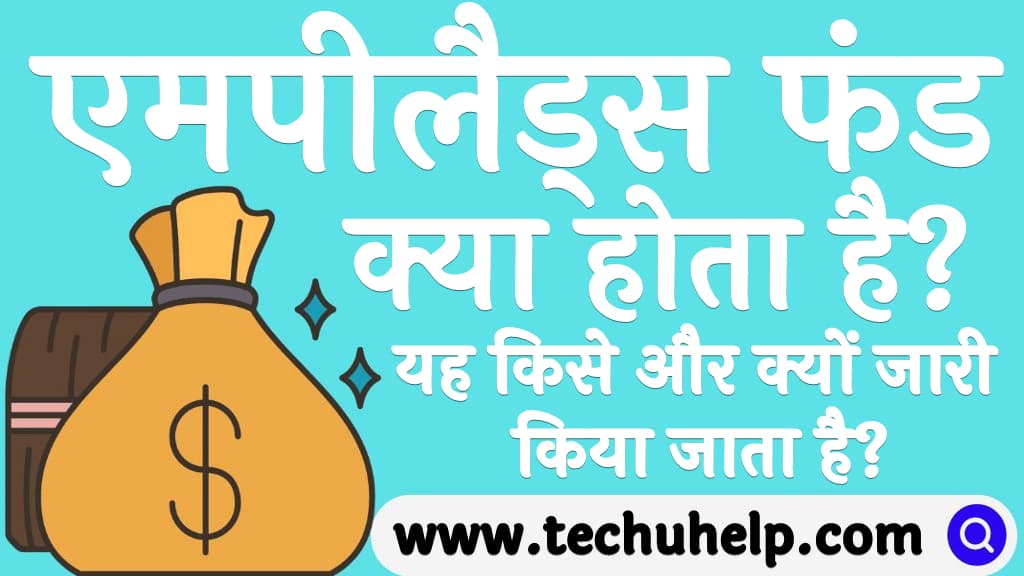 एमपीलैड्स फंड क्या होता है एमपीलैड्स फंड किसे और क्यों जारी किया जाता है MPLAD fund kya hai