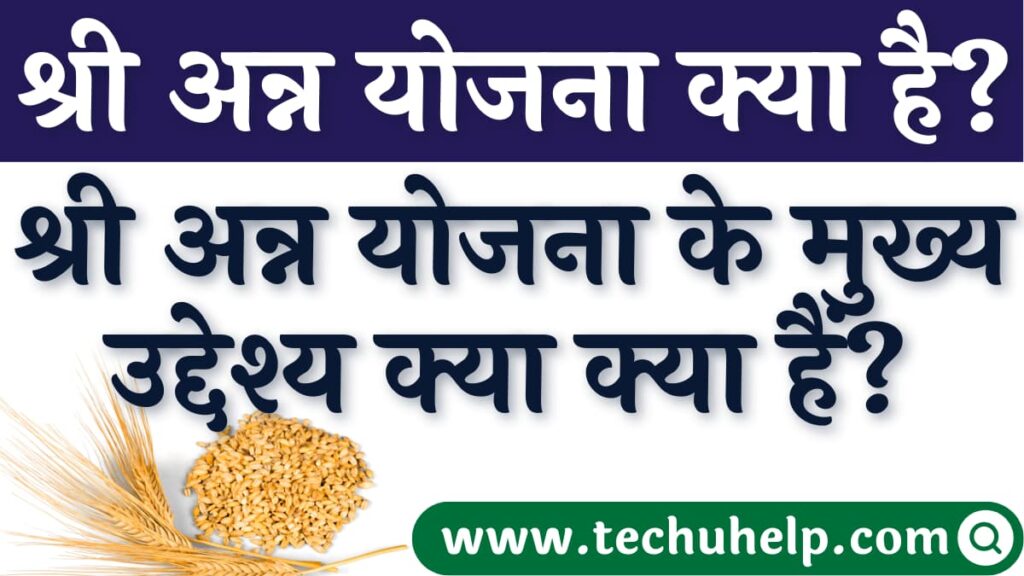 श्री अन्न योजना क्या है? बजट में सरकार ने इस अन्न को बढ़ावा देने के लिए क्या प्रावधान किए हैं?