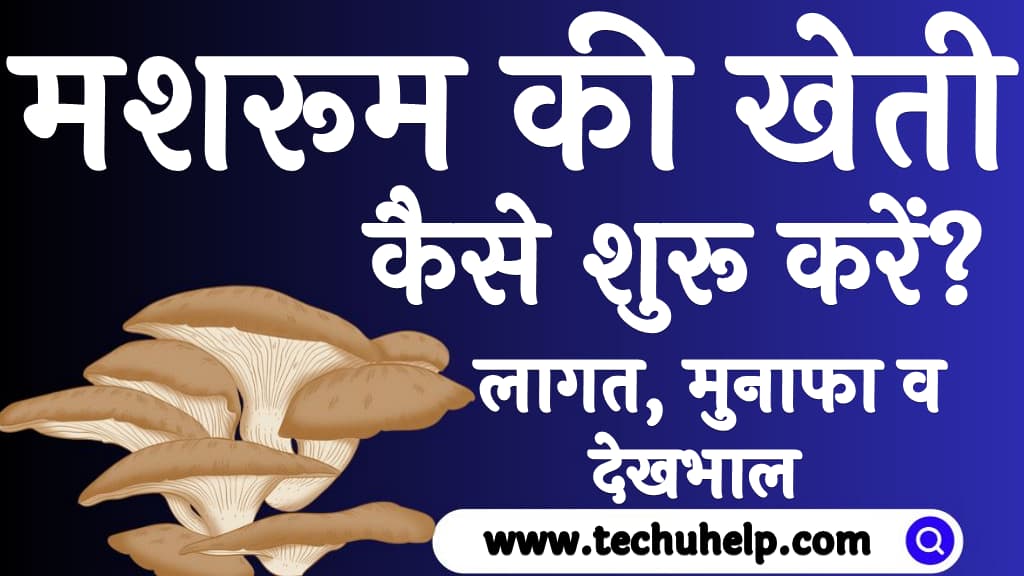 मशरूम की खेती कैसे शुरू करें लागत, मुनाफा व देखभाल Mushroom ki kheti kaise kare